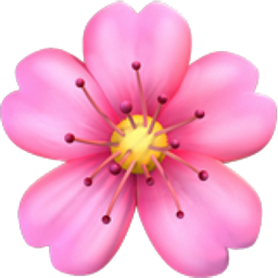 Cherry Blossom